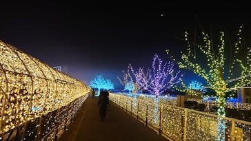 東京メガイルミに投稿された画像（2022/1/8）