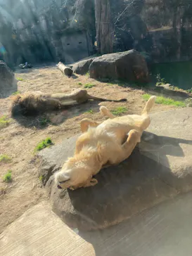 天王寺動物園に投稿された画像（2022/1/8）
