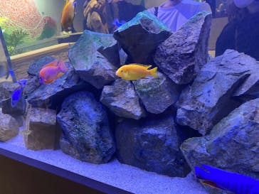 felissimo chocolate museum（フェリシモチョコレートミュージアム）に投稿された画像（2022/1/8）