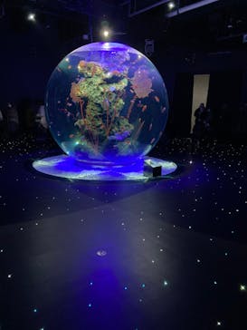 felissimo chocolate museum（フェリシモチョコレートミュージアム）に投稿された画像（2022/1/8）