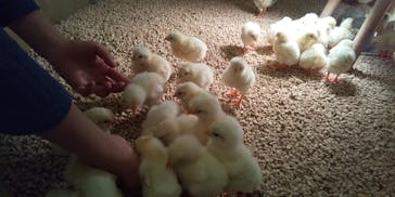 Moff animal cafe イオンモール幕張新都心店に投稿された画像（2022/1/8）