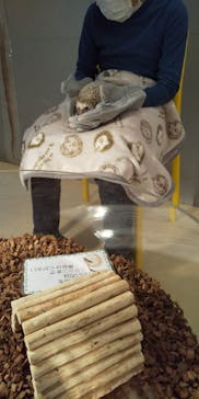 Moff animal cafe イオンモール幕張新都心店に投稿された画像（2022/1/8）