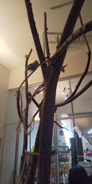 Moff animal cafe イオンモール幕張新都心店に投稿された画像（2022/1/8）