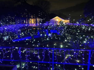 江の島シーキャンドルに投稿された画像（2022/1/8）