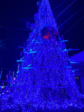 ひらかたパークに投稿された画像（2022/1/8）