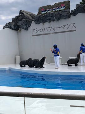 鴨川シーワールドに投稿された画像（2022/1/8）