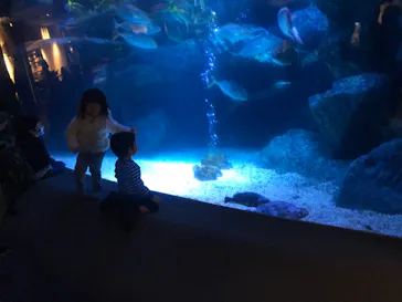 すみだ水族館に投稿された画像（2022/1/8）