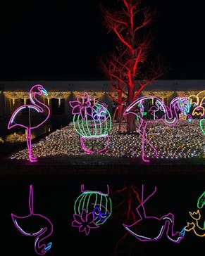 神戸イルミナージュに投稿された画像（2022/1/8）