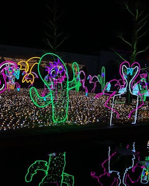 神戸イルミナージュに投稿された画像（2022/1/8）