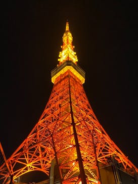 東京タワーに投稿された画像（2022/1/8）