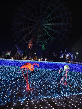東武動物公園に投稿された画像（2022/1/8）