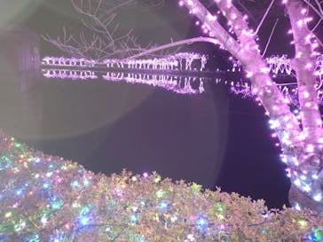 東武動物公園に投稿された画像（2022/1/8）