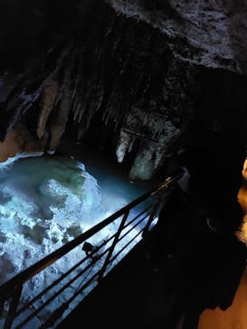 おきなわワールドに投稿された画像（2022/1/8）