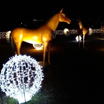 東京メガイルミに投稿された画像（2022/1/8）