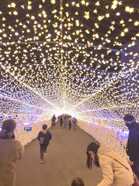 東京メガイルミに投稿された画像（2022/1/8）