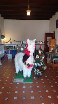 野外民族博物館 リトルワールドに投稿された画像（2022/1/8）