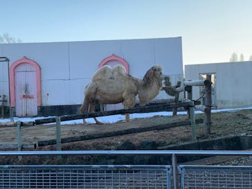 東武動物公園に投稿された画像（2022/1/8）