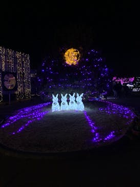 東武動物公園に投稿された画像（2022/1/8）