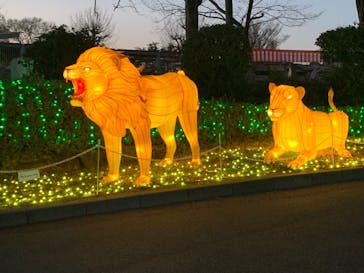 東武動物公園に投稿された画像（2022/1/8）