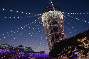 江の島シーキャンドルに投稿された画像（2022/1/8）