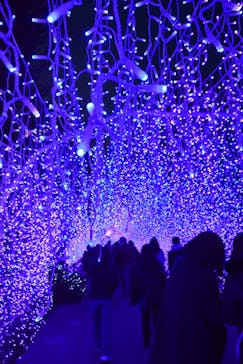 江の島シーキャンドルに投稿された画像（2022/1/8）