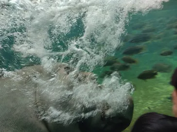 天王寺動物園に投稿された画像（2022/1/8）