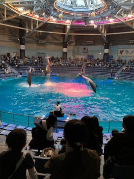 マクセル アクアパーク品川に投稿された画像（2022/1/9）