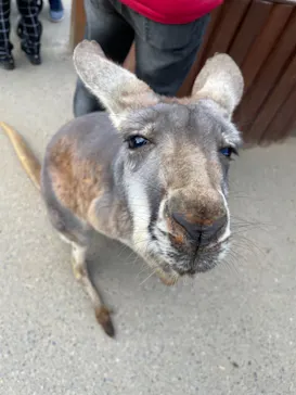 神戸どうぶつ王国に投稿された画像（2022/1/9）