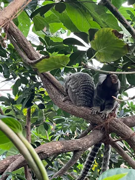 神戸どうぶつ王国に投稿された画像（2022/1/9）