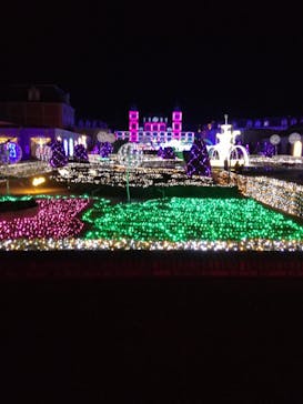 神戸イルミナージュに投稿された画像（2022/1/9）