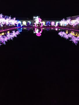 神戸イルミナージュに投稿された画像（2022/1/9）