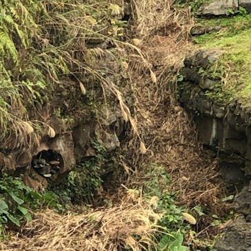 今帰仁城跡に投稿された画像（2022/1/6）