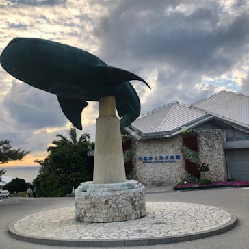 沖縄美ら海水族館に投稿された画像（2022/1/8）