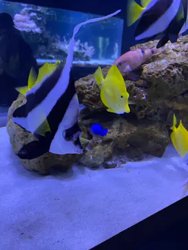 すみだ水族館に投稿された画像（2022/1/9）