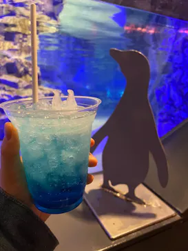 すみだ水族館に投稿された画像（2022/1/9）