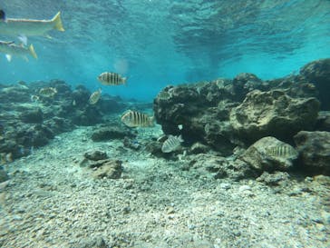 武藤潜水に投稿された画像（2022/1/9）