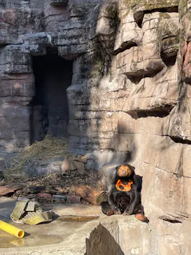 天王寺動物園に投稿された画像（2022/1/9）