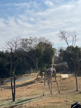 天王寺動物園に投稿された画像（2022/1/9）