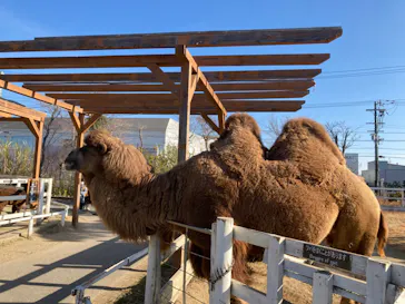 神戸どうぶつ王国に投稿された画像（2022/1/9）