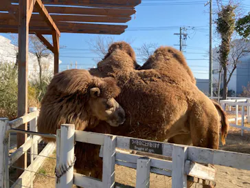 神戸どうぶつ王国に投稿された画像（2022/1/9）
