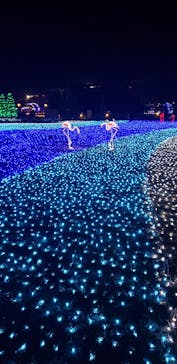 東武動物公園に投稿された画像（2022/1/9）