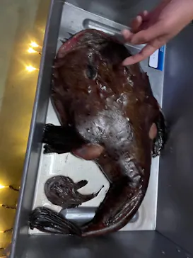 横浜・八景島シーパラダイスに投稿された画像（2022/1/9）