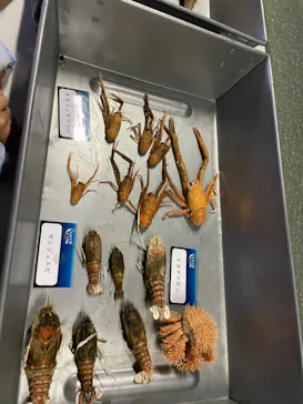 横浜・八景島シーパラダイスに投稿された画像（2022/1/9）