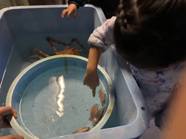 横浜・八景島シーパラダイスに投稿された画像（2022/1/9）