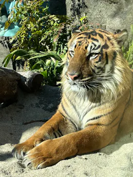 神戸どうぶつ王国に投稿された画像（2022/1/9）