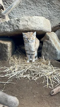 神戸どうぶつ王国に投稿された画像（2022/1/9）