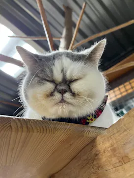 神戸どうぶつ王国に投稿された画像（2022/1/9）