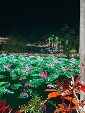 美らヤシパークオキナワ・東南植物楽園に投稿された画像（2022/1/9）