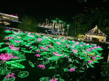 美らヤシパークオキナワ・東南植物楽園に投稿された画像（2022/1/9）