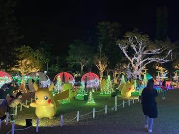 美らヤシパークオキナワ・東南植物楽園に投稿された画像（2022/1/9）